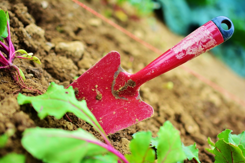 sasu-ST ETIENNE DE TINEE-min_gardening-2448134